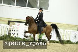 24BUCK_03086 proof