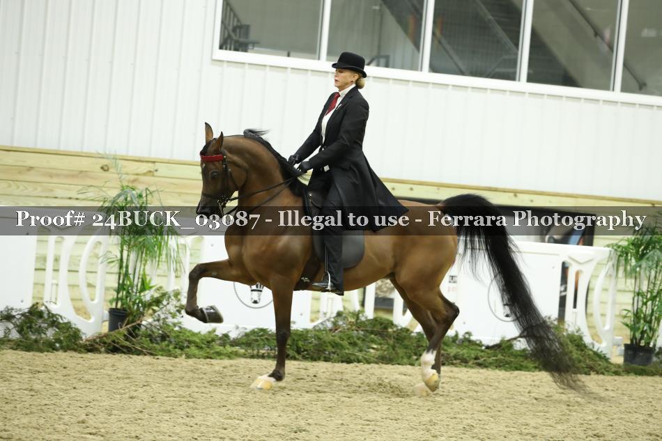 Proof 24BUCK_03087