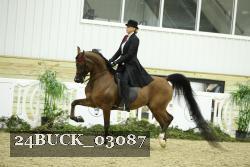 24BUCK_03087 proof