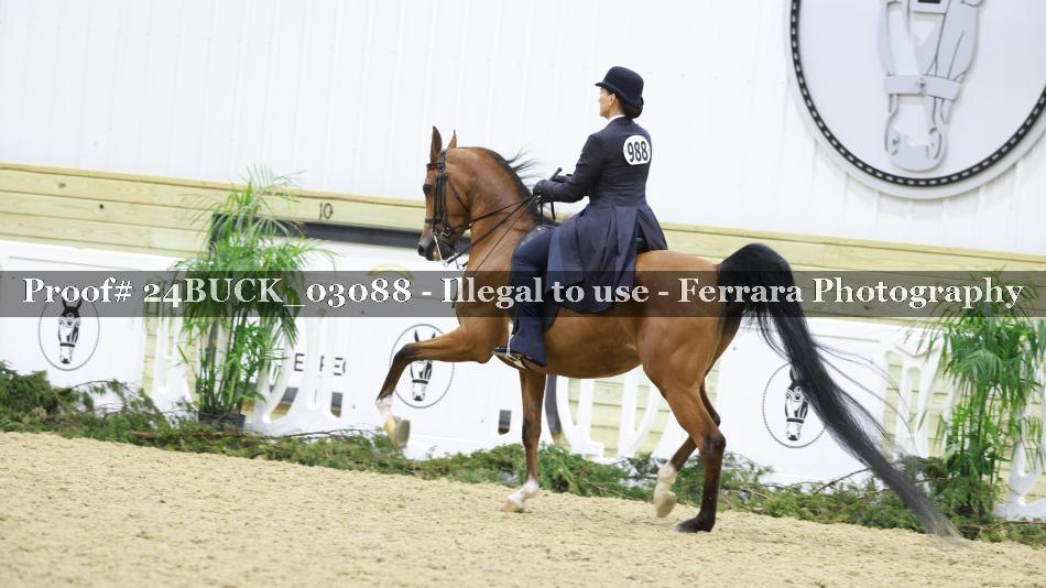 Proof 24BUCK_03088