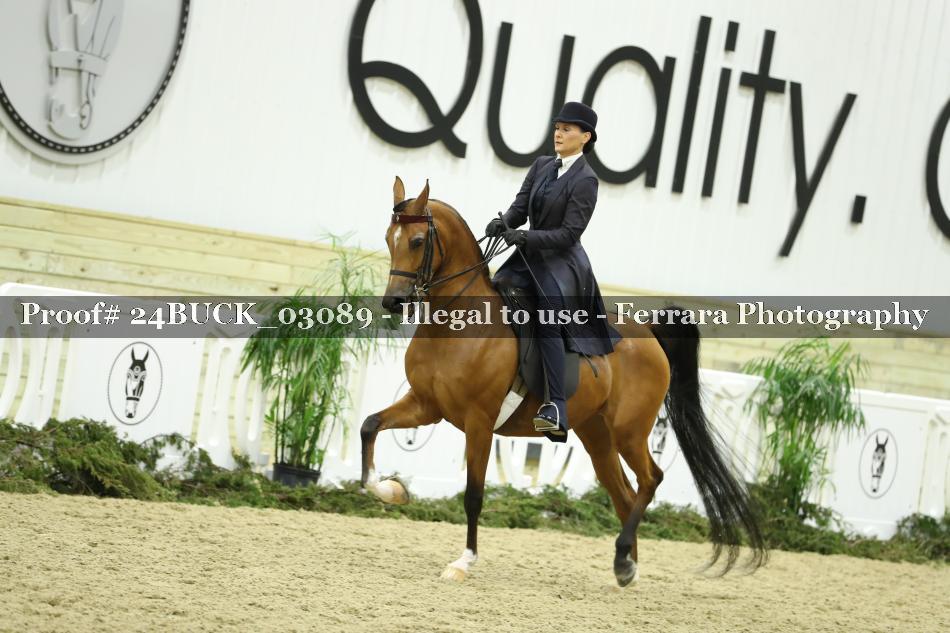 Proof 24BUCK_03089