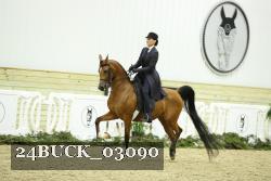 24BUCK_03090 proof