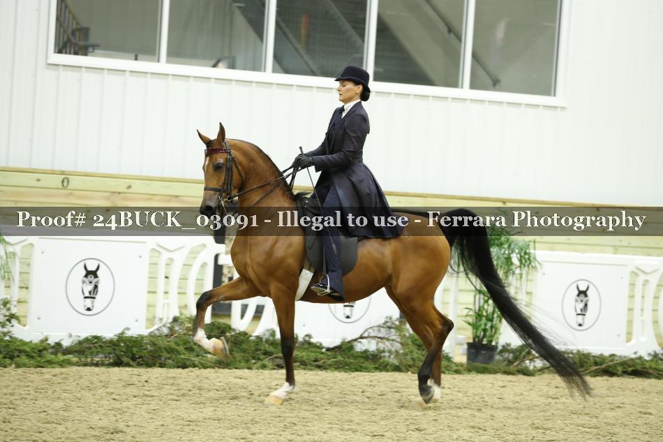 Proof 24BUCK_03091