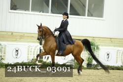 24BUCK_03091 proof
