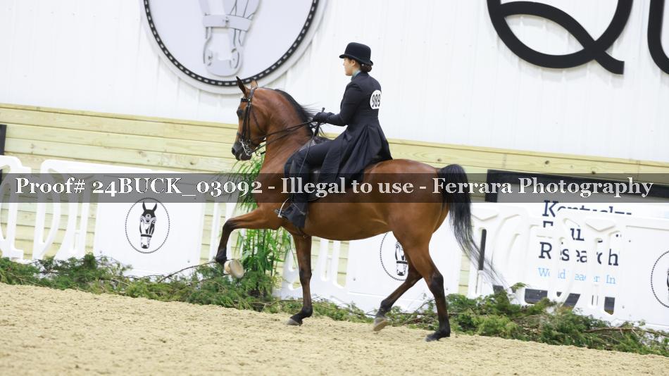 Proof 24BUCK_03092
