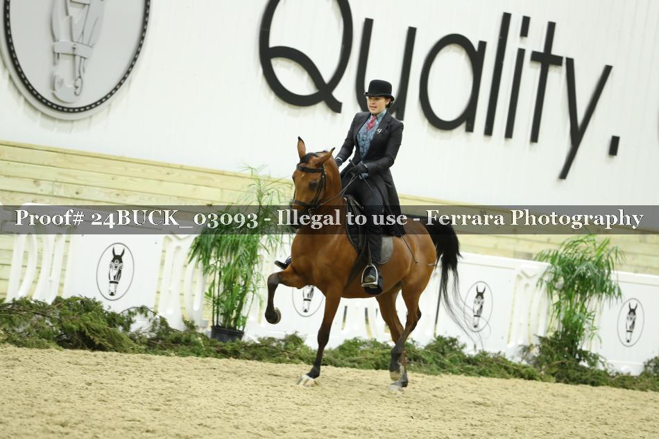 Proof 24BUCK_03093