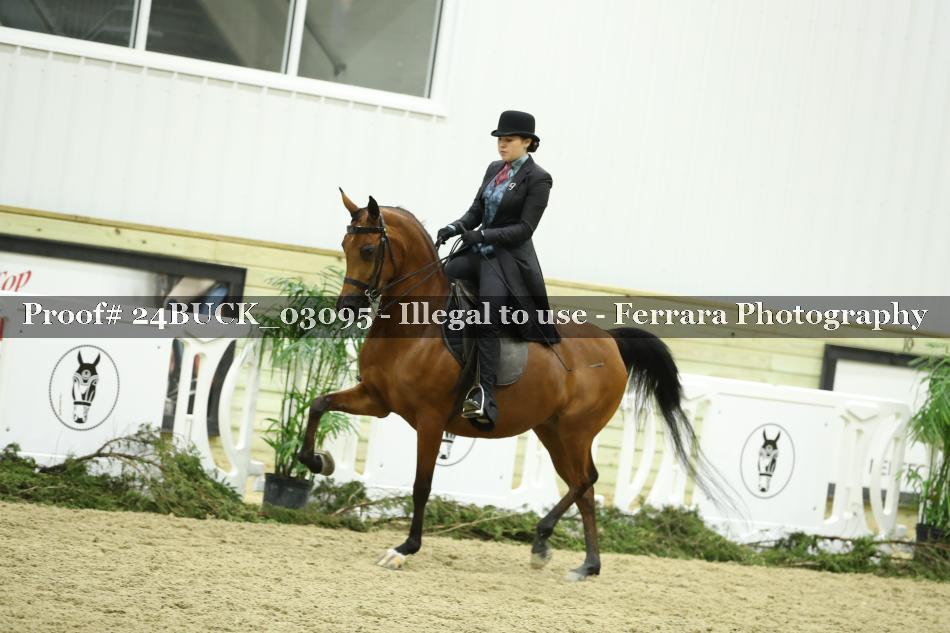 Proof 24BUCK_03095
