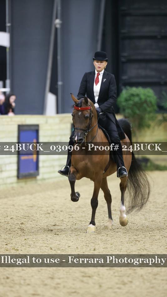 Proof 24BUCK_03096