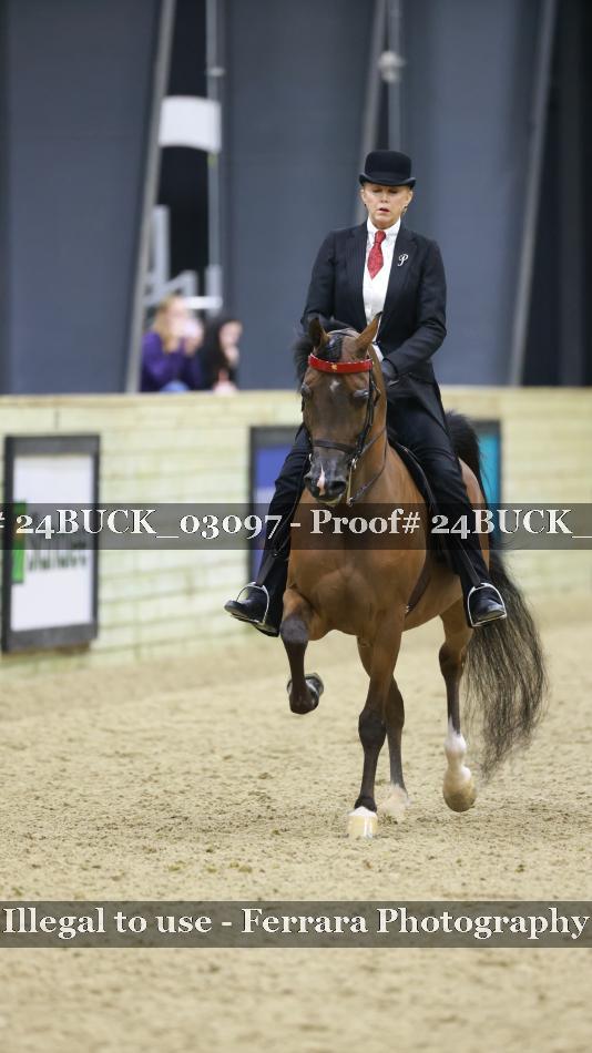 Proof 24BUCK_03097