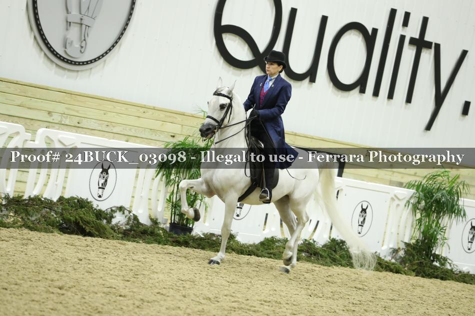 Proof 24BUCK_03098