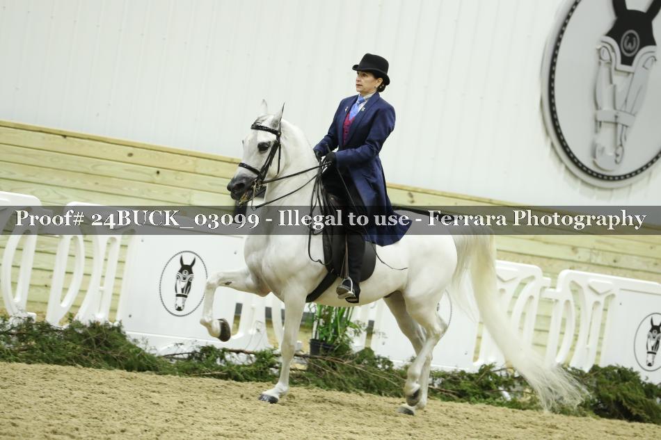 Proof 24BUCK_03099