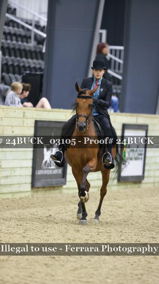 Proof 24BUCK_03105