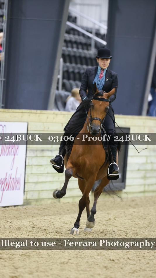 Proof 24BUCK_03106