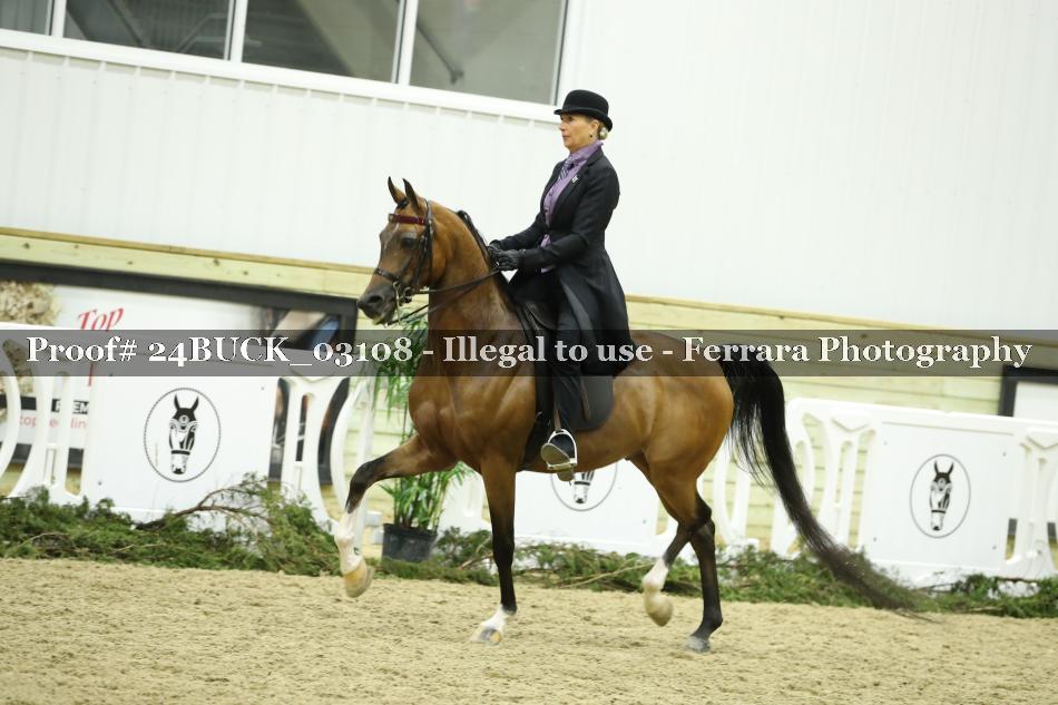 Proof 24BUCK_03108