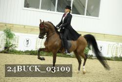 24BUCK_03109 proof