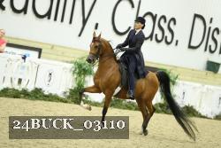 24BUCK_03110 proof
