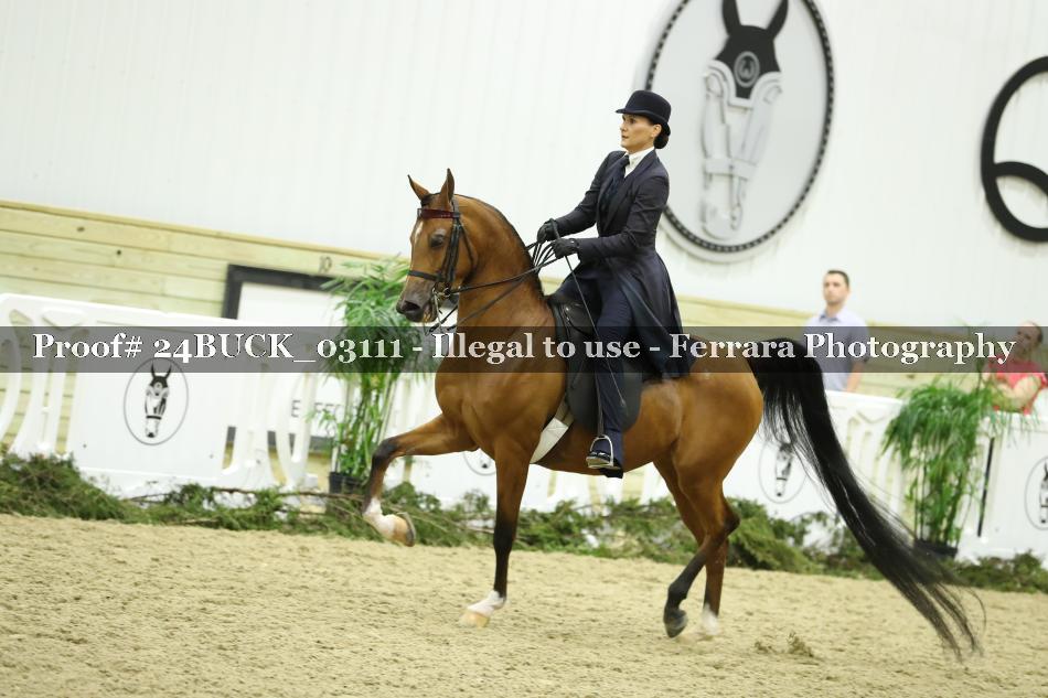 Proof 24BUCK_03111