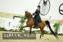 24BUCK_03111 proof