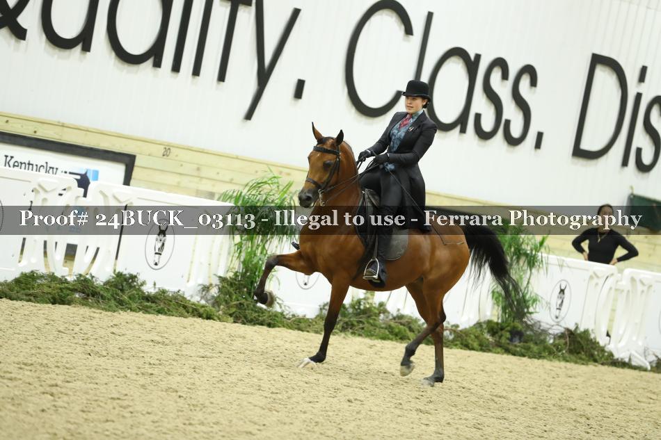 Proof 24BUCK_03113