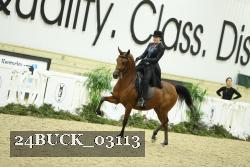 24BUCK_03113 proof