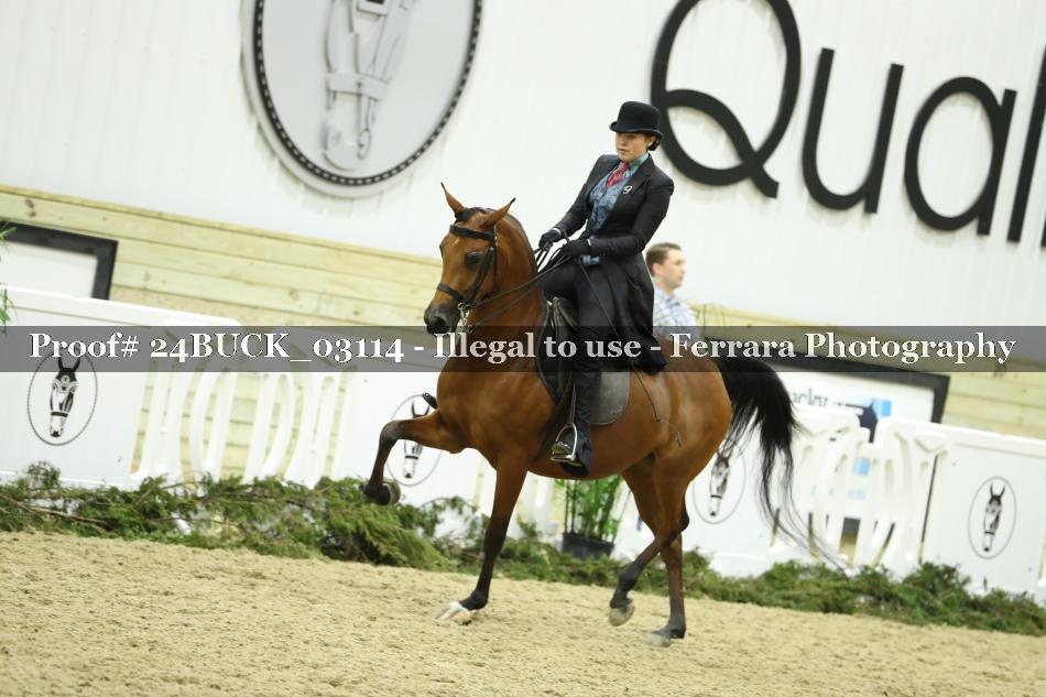 Proof 24BUCK_03114