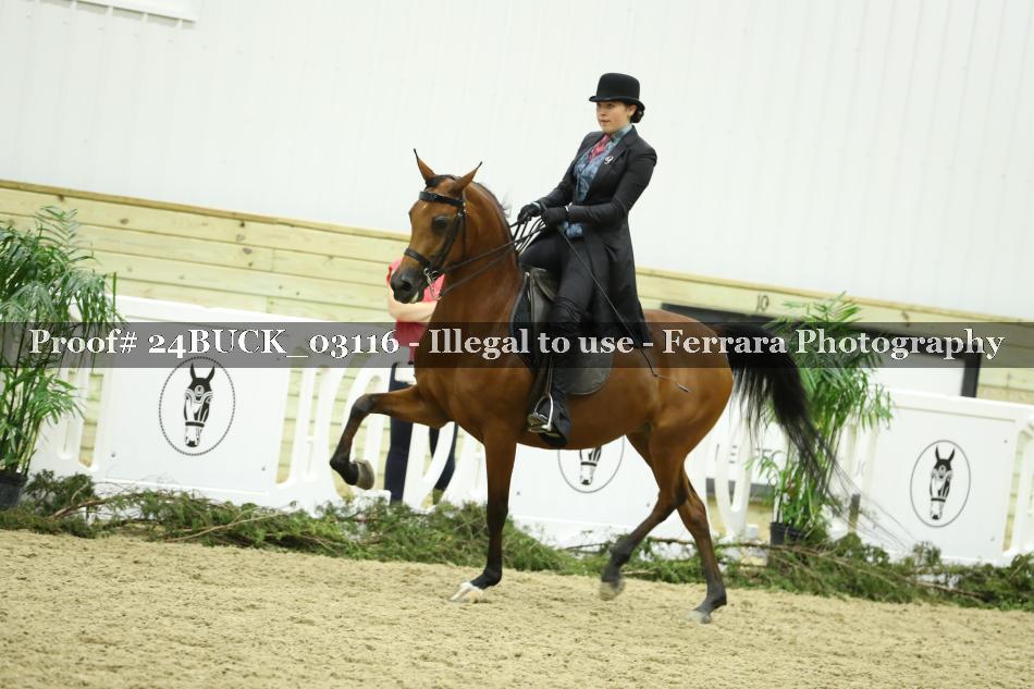Proof 24BUCK_03116
