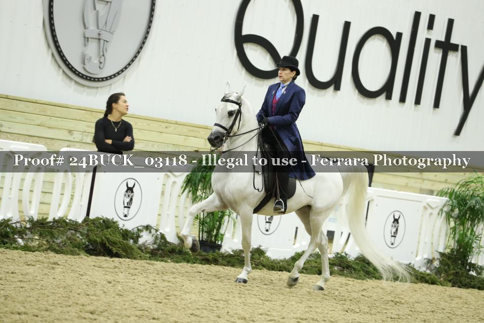 Proof 24BUCK_03118