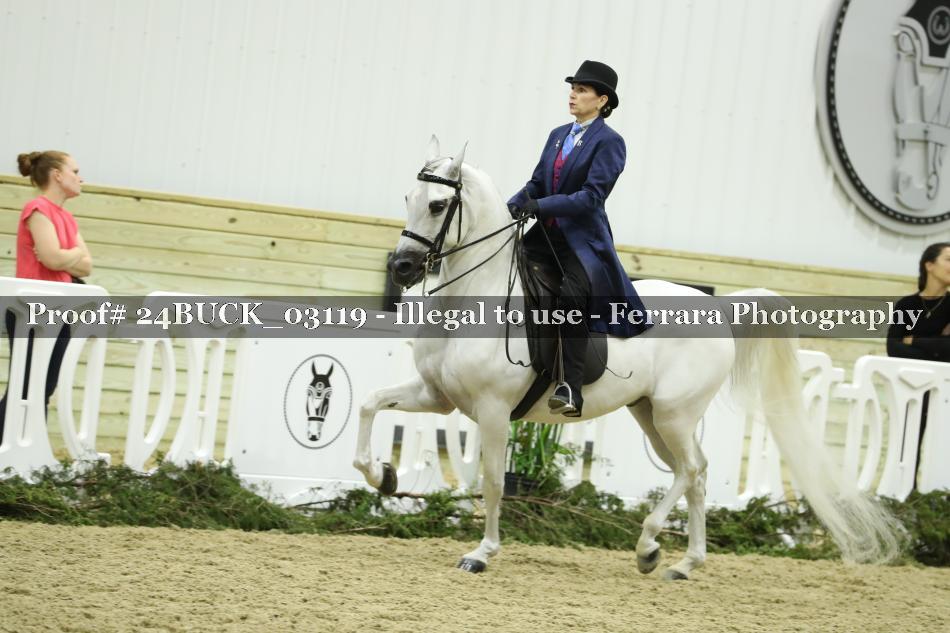 Proof 24BUCK_03119