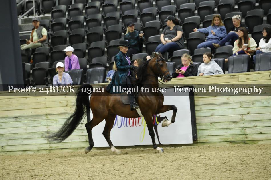 Proof 24BUCK_03121