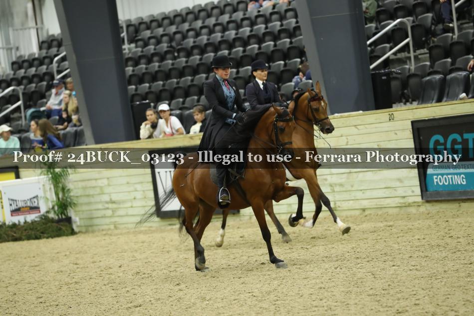 Proof 24BUCK_03123