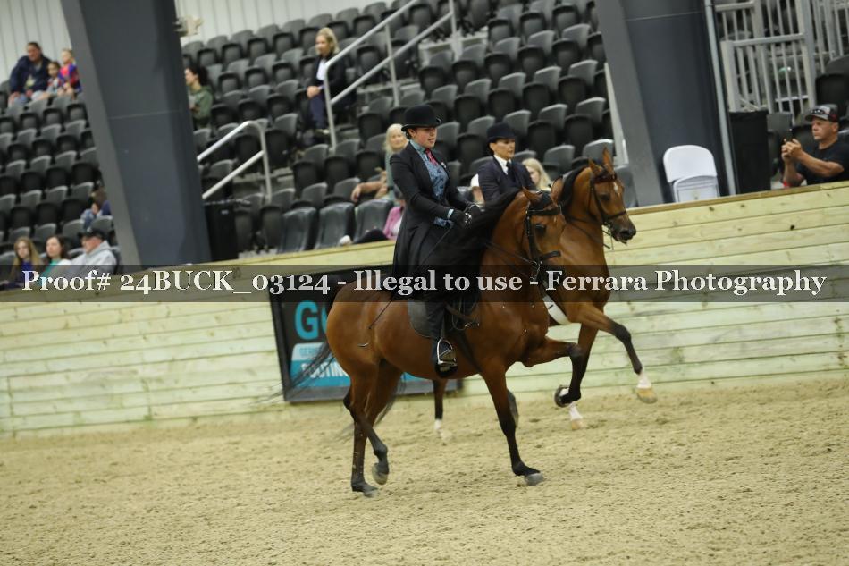 Proof 24BUCK_03124
