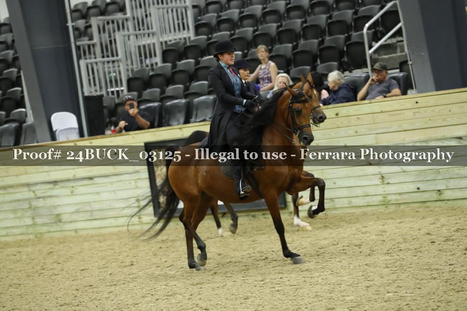 Proof 24BUCK_03125