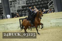 24BUCK_03125 proof