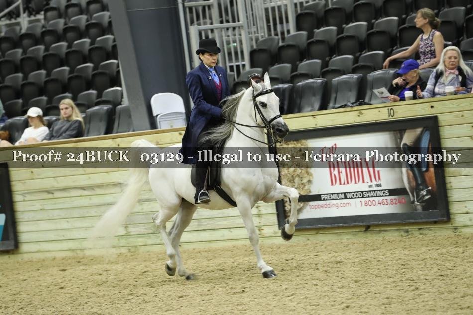 Proof 24BUCK_03129