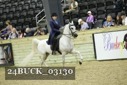 24BUCK_03130 proof