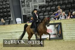 24BUCK_03134 proof