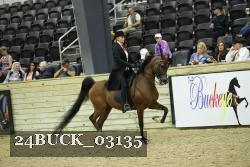 24BUCK_03135 proof
