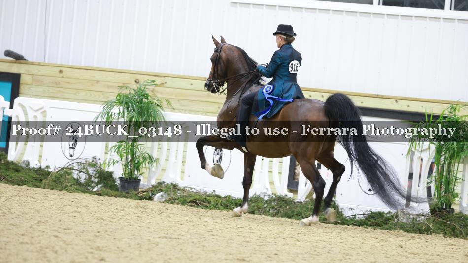 Proof 24BUCK_03148