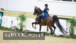24BUCK_03148 proof