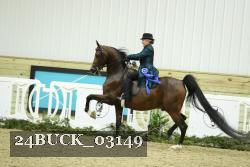 24BUCK_03149 proof