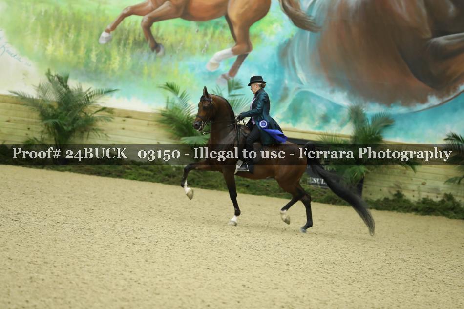 Proof 24BUCK_03150