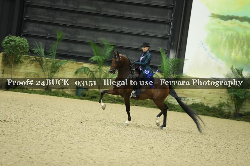 Proof 24BUCK_03151