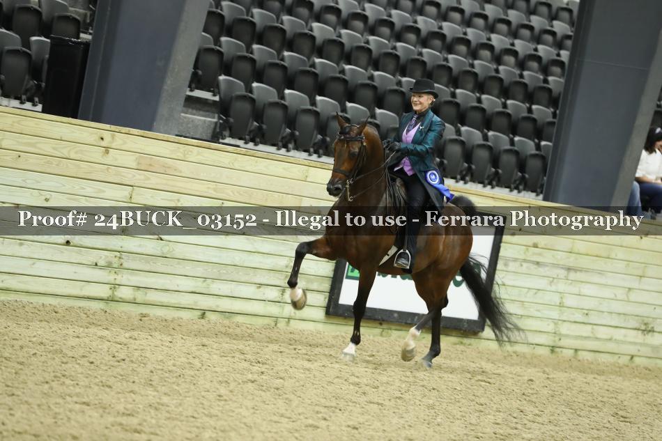 Proof 24BUCK_03152