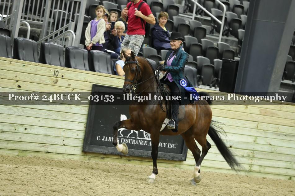 Proof 24BUCK_03153