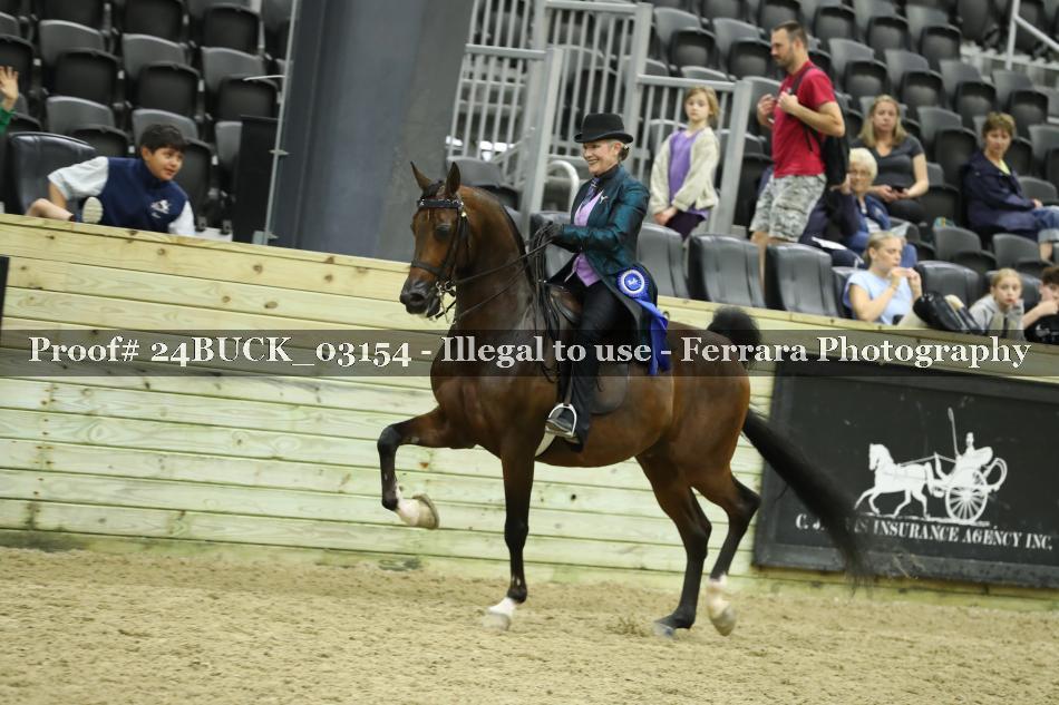 Proof 24BUCK_03154