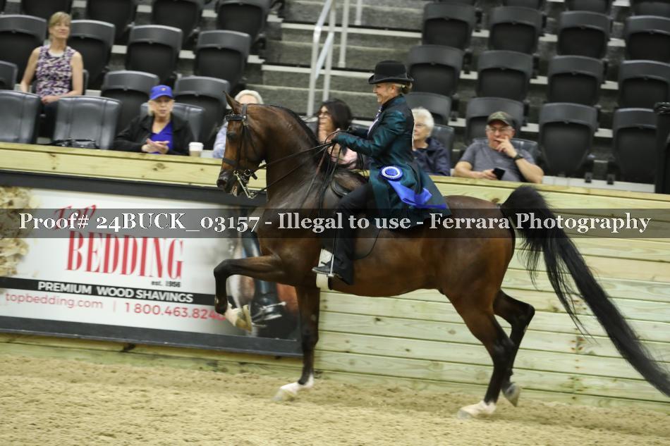 Proof 24BUCK_03157