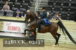 24BUCK_03157 proof