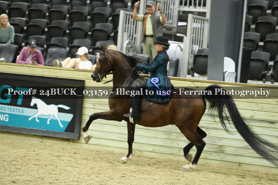 Proof 24BUCK_03159