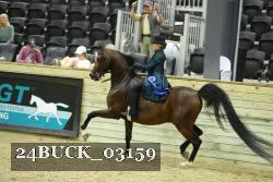 24BUCK_03159 proof