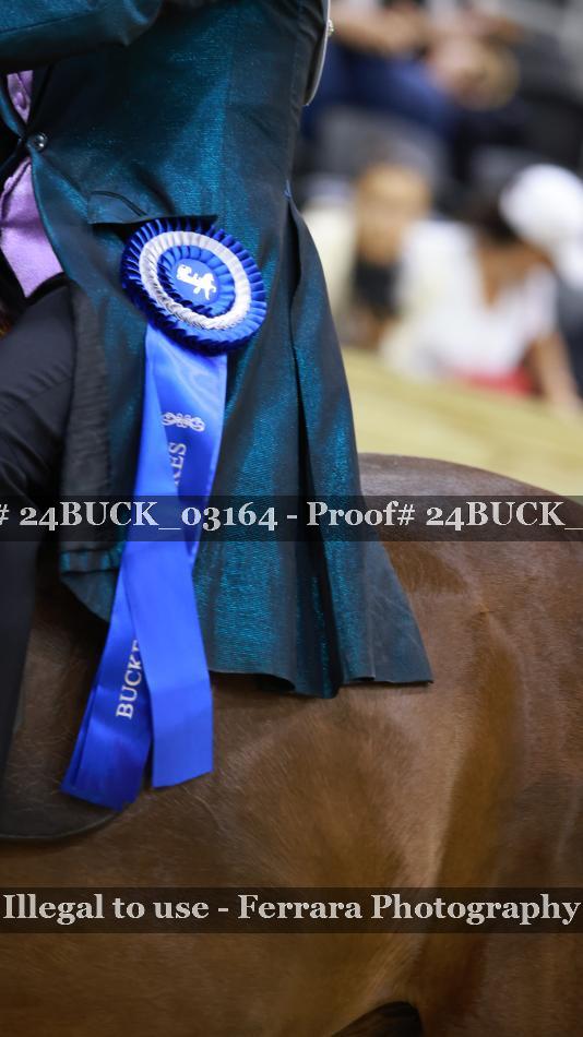 Proof 24BUCK_03164